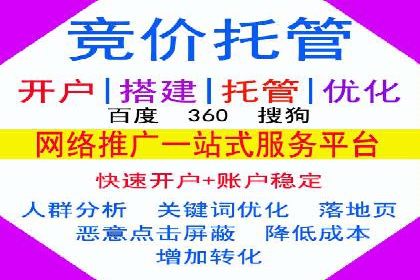 某电商平台的SEM推广策略全解析